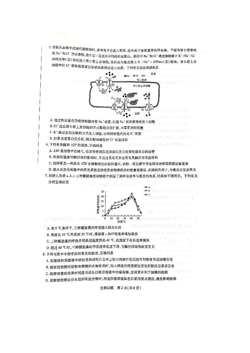 2022焦作普通高中新高二上学期定位考试生物试题扫描版含答案02