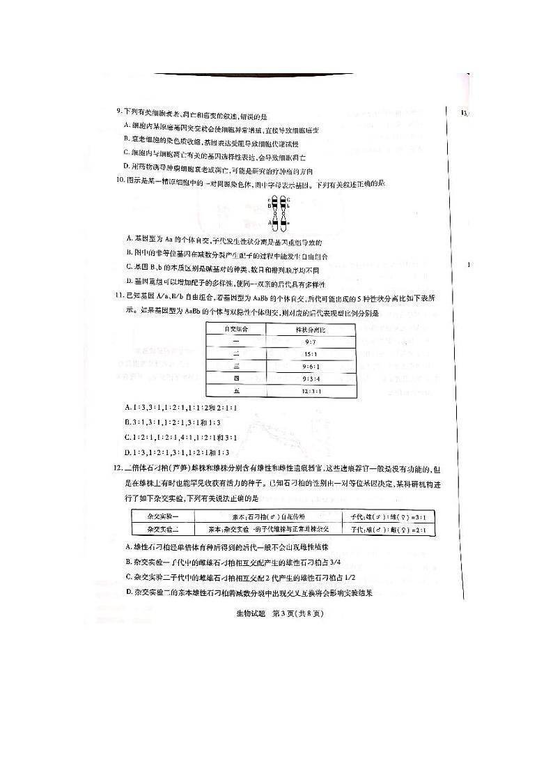 2022焦作普通高中新高二上学期定位考试生物试题扫描版含答案03