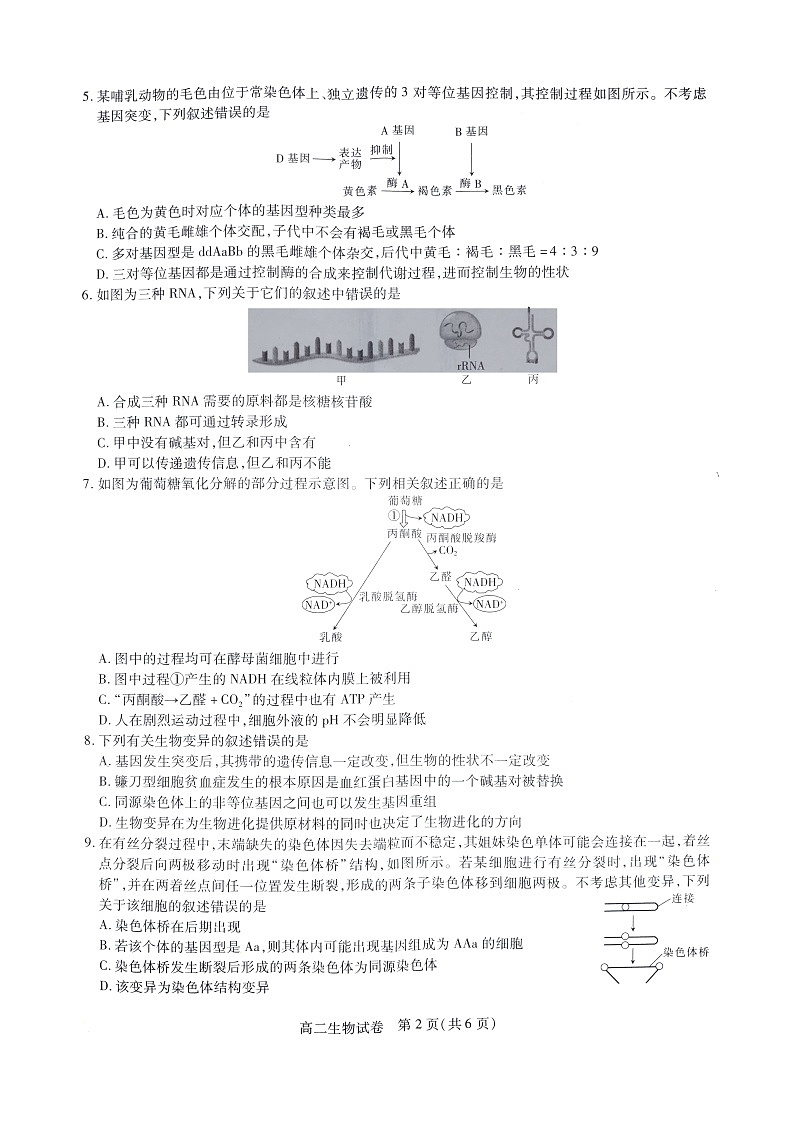 2021年7月湖北省高二统一调研考试生物试题扫描版（配答案解析）第2页