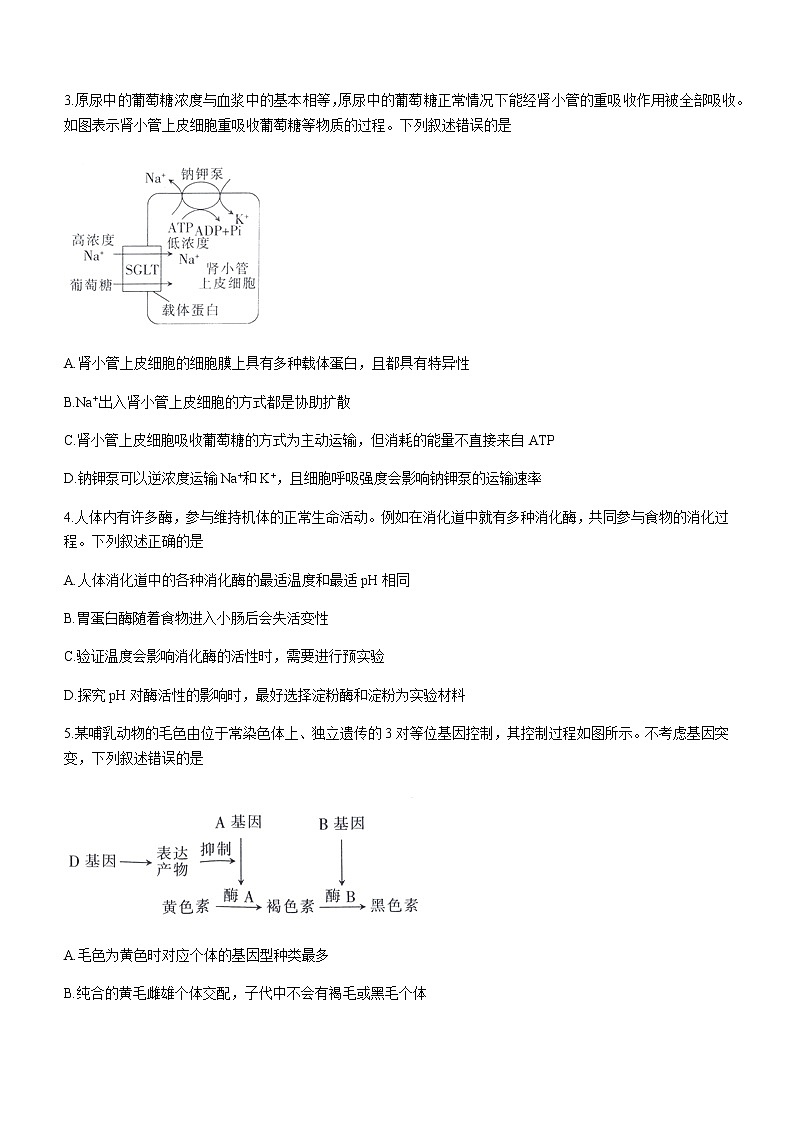 2021湖北省高二下学期7月统一调研测试生物试题含答案02