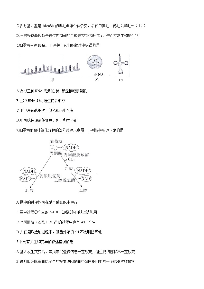 2021湖北省高二下学期7月统一调研测试生物试题含答案03