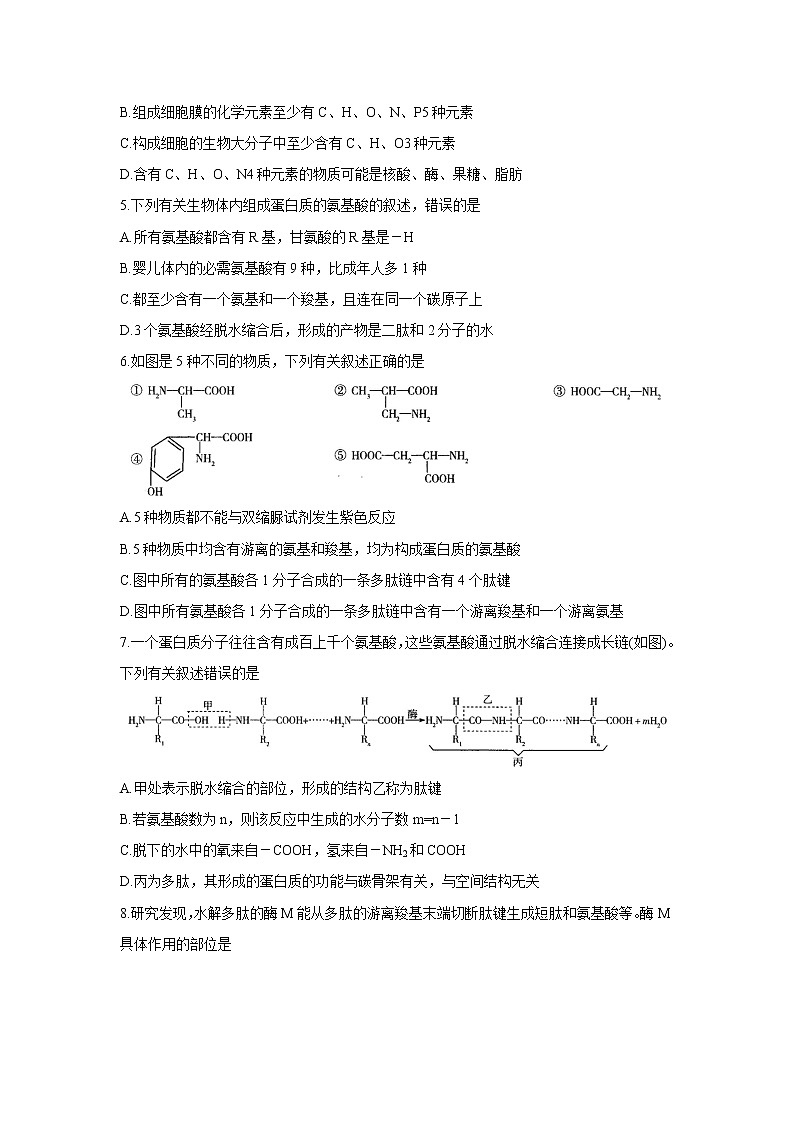 2021河南省天一大联考高二下学期阶段性测试（四）生物含解析第2页