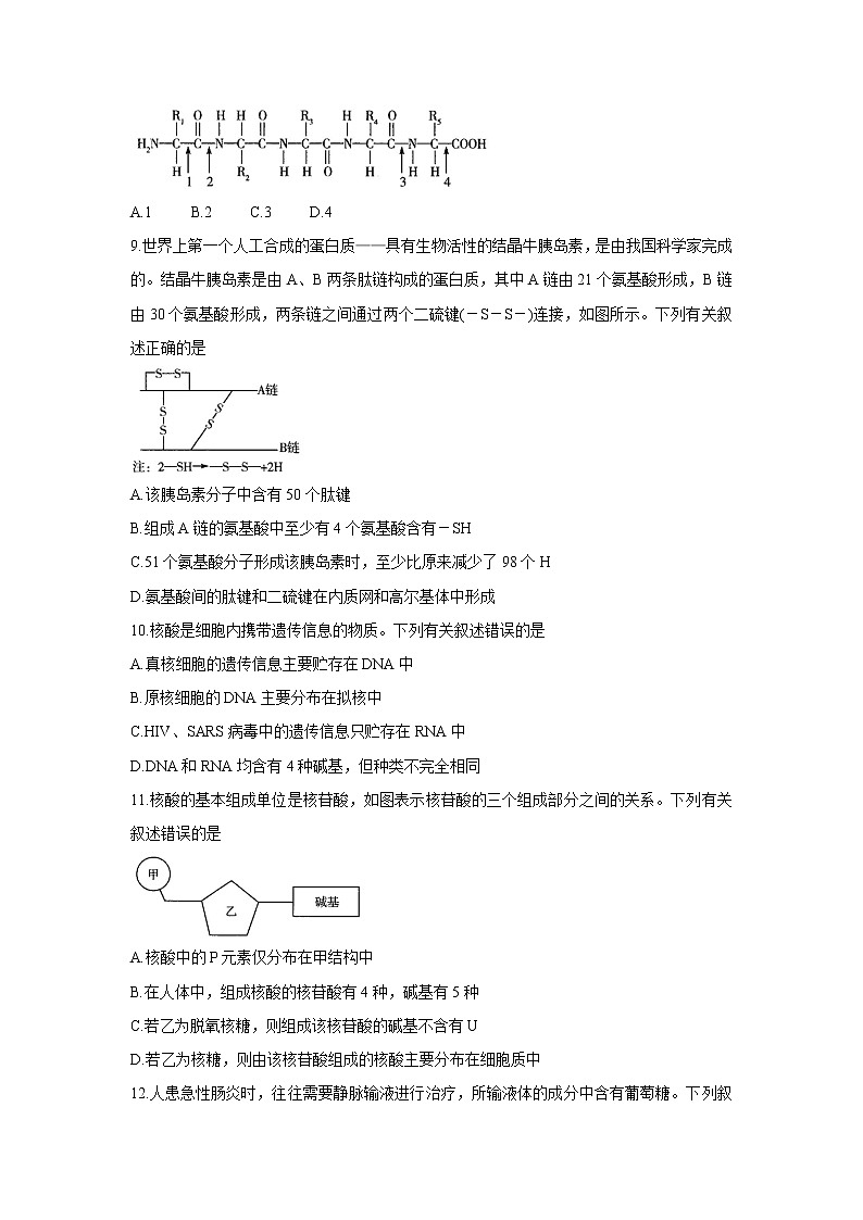 2021河南省天一大联考高二下学期阶段性测试（四）生物含解析第3页