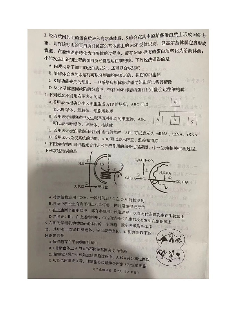 湖南省岳阳市2020-2021学年高二下学期期末教学质量检测生物试题（图片版）第2页