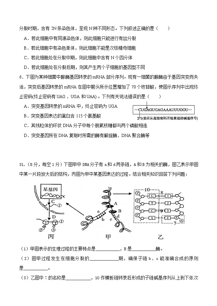 四川省仁寿第一中学校北校区2020-2021学年高二下学期期末模拟考试（6月月考）生物试题第2页