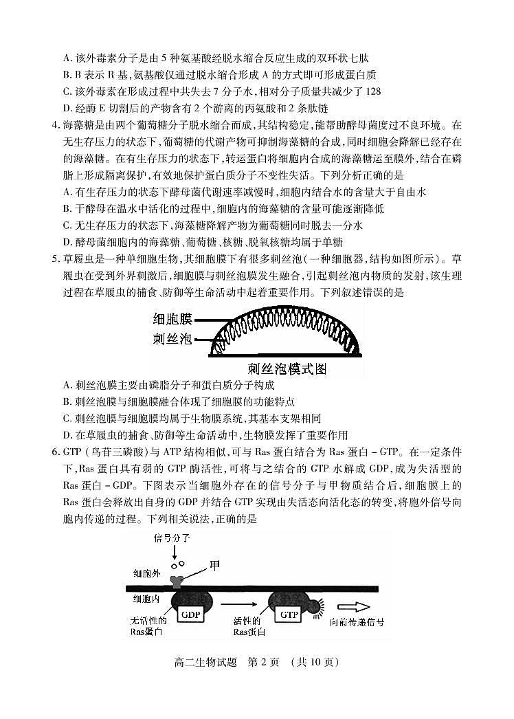 2021枣庄高二下学期期末考试生物试题PDF版含答案02