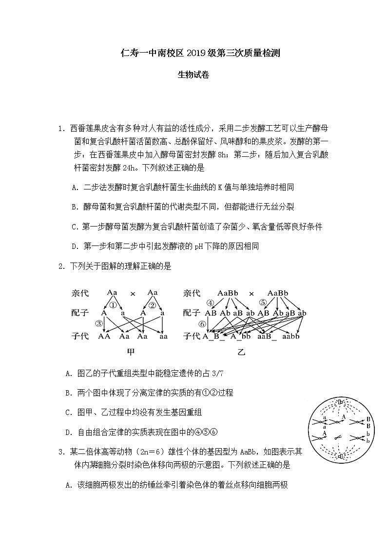 2021四川省仁寿一中校南校区高二下学期第三次质量检测（6月月考）生物试题含答案01
