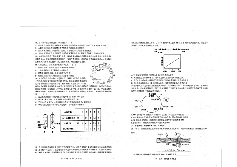 2021莱州一中高二下学期期末考试生物试题扫描版含答案03