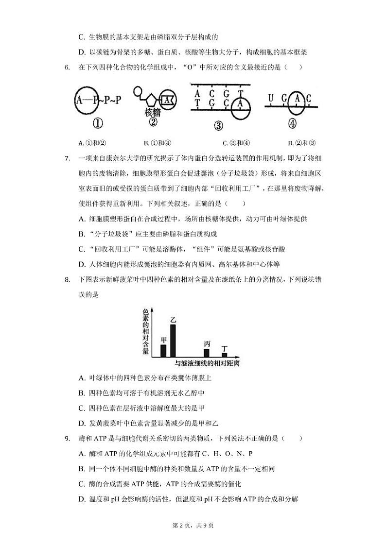 2021济南长清一中高二下学期基础部6月周测（一）生物试卷PDF版含答案第2页