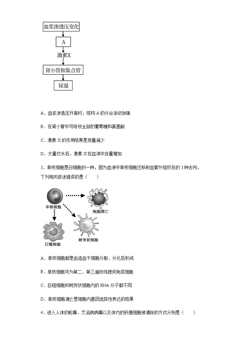2021盐城东台创新高级中学高二下学期4月份月检测生物试题含答案第2页