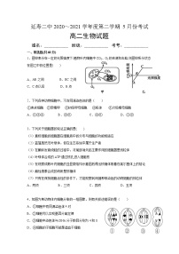 2021省哈尔滨延寿县二中高二下学期5月月考生物试题含答案