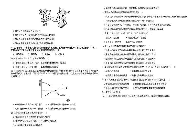 2021临夏县中学高一下学期期末考试生物试题B卷（理科）含答案02