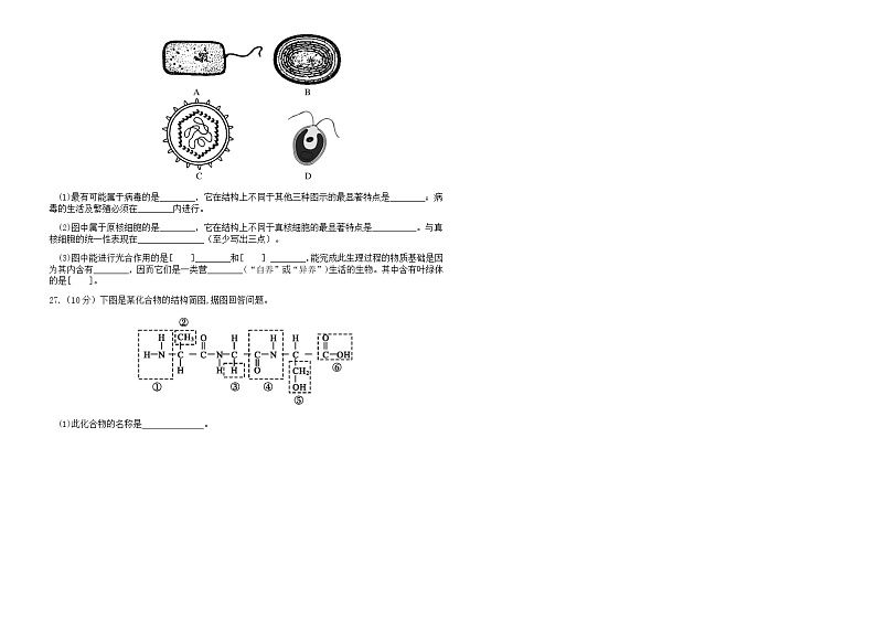 2021临夏县中学高一下学期期末考试生物试题B卷（理科）含答案03