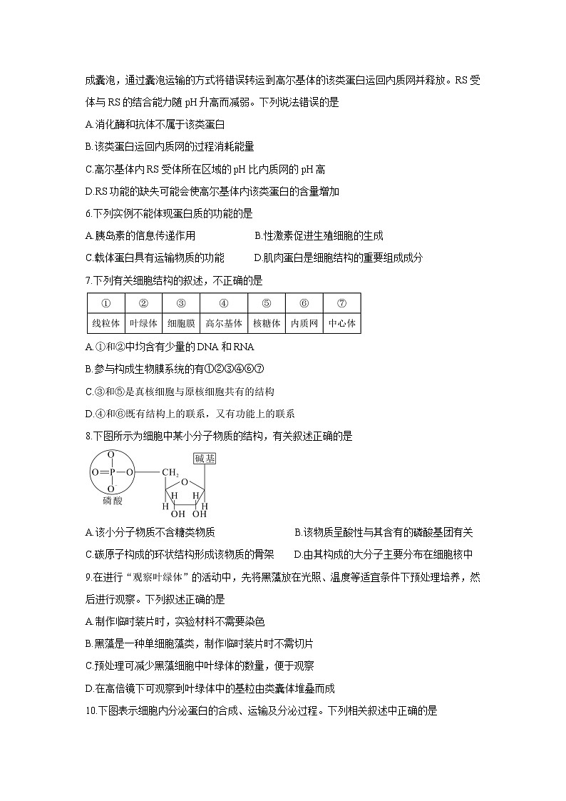 2022郑州新郑高一上学期10月第一次阶段性检测生物含答案第2页