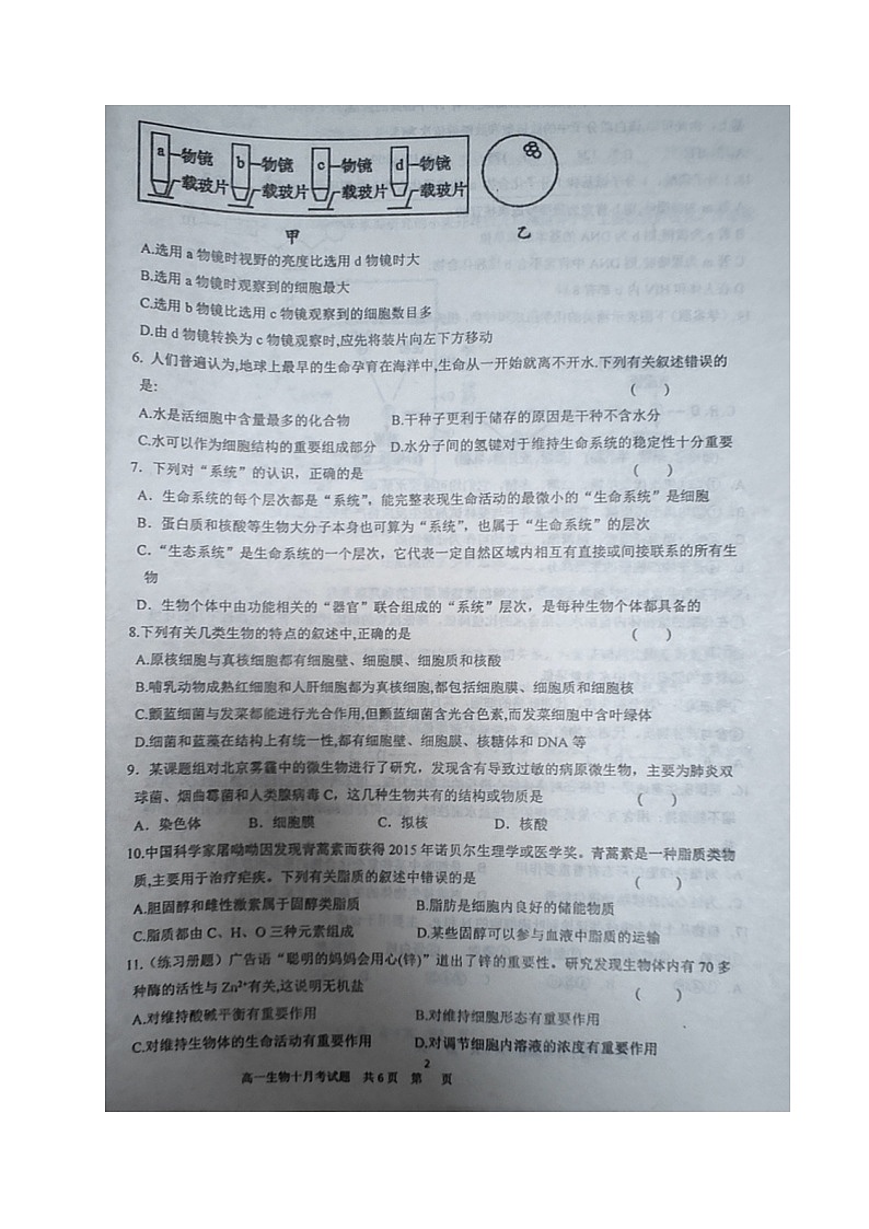 2022庄河高级中学高一上学期10月月考生物试题扫描版含答案第2页