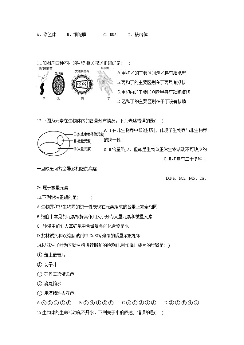 2022长春十一高中高一上学期第一学程考试生物试题含答案03