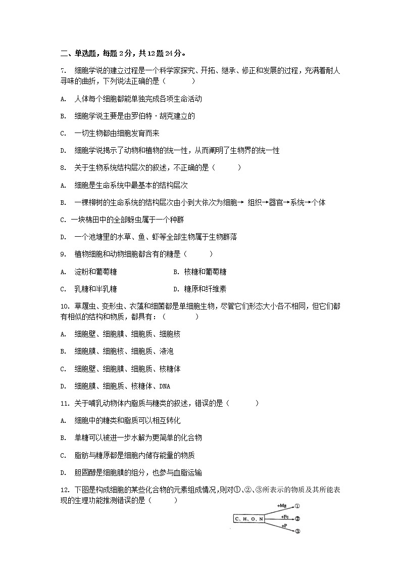 2022惠州惠阳区中山中学高一上学期第一次质量检测生物试题含答案02