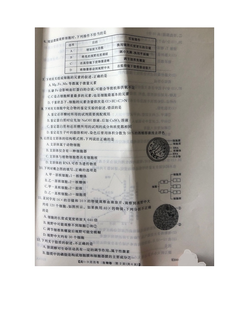 2022永善县一中高一上学期9月月考生物试题扫描版含答案第2页