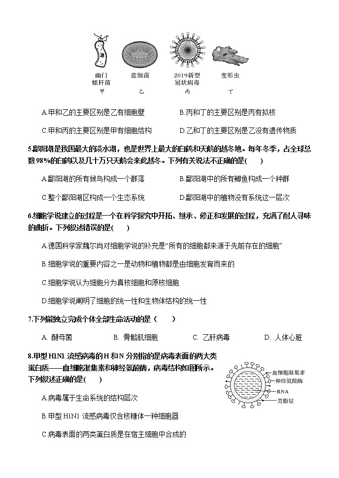 2022省齐齐哈尔第二十四中学高一上学期第一次月考生物试题含答案第2页