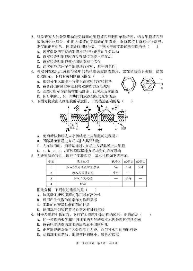 2021巴中高一下学期期末生物试题PDF版含答案02