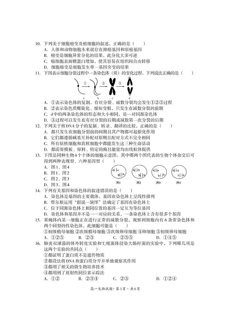 2021巴中高一下学期期末生物试题PDF版含答案03