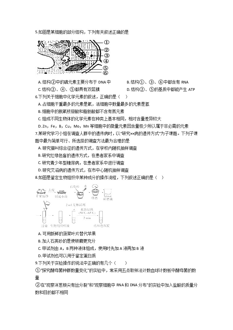 2022云南省双江县第一完全中学高一上学期9月月考生物试题含答案第2页