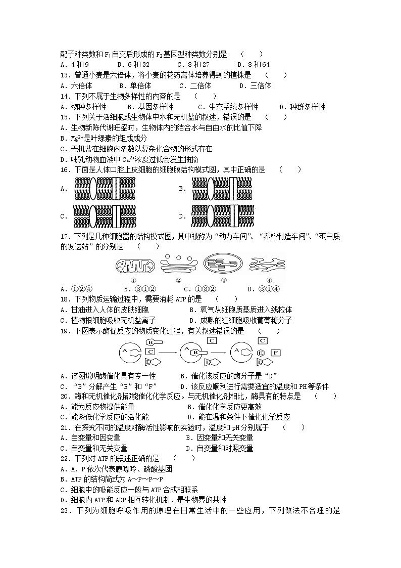 2021二中高一下学期期末考试生物试题含答案第2页