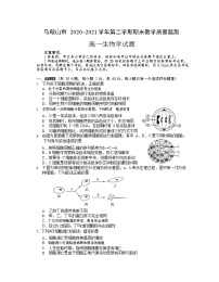 2021马鞍山高一下学期期末考试生物试题含答案