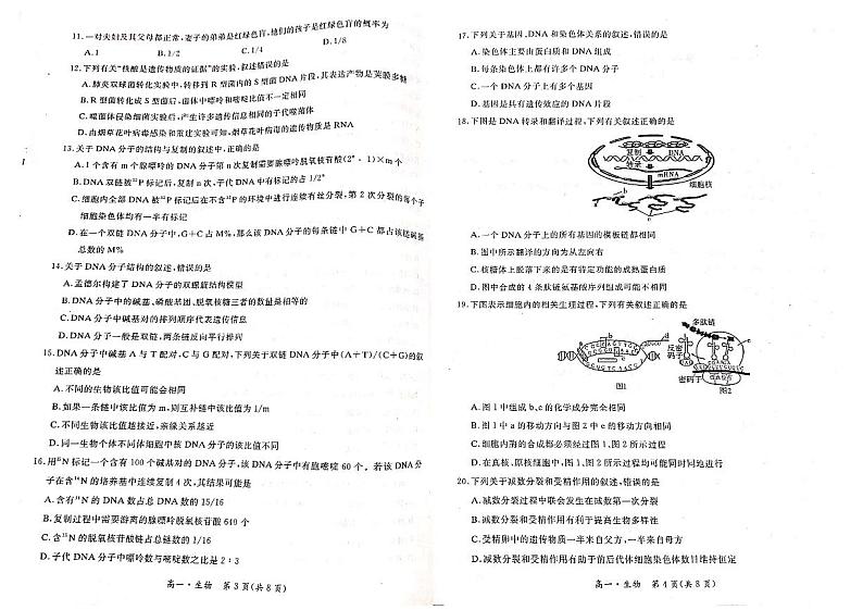 2021长春九台区师范高级中学高一下学期期末联考生物试题扫描版含答案02