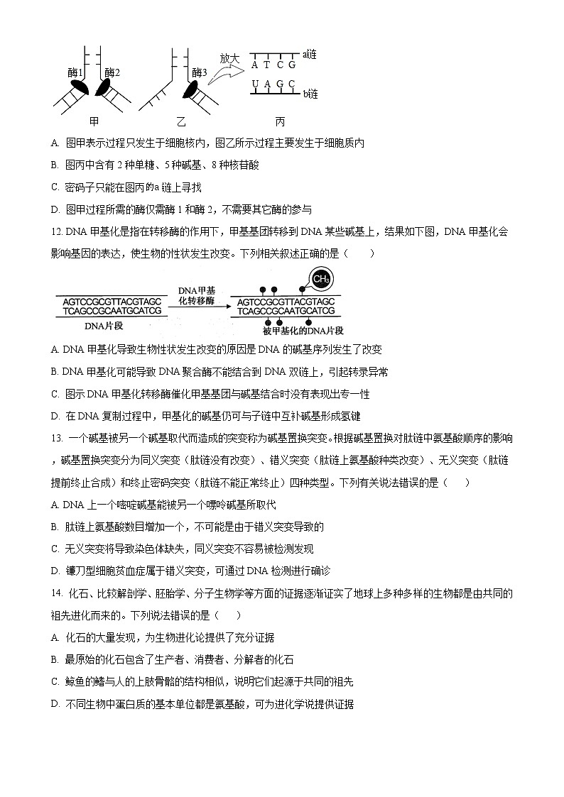 2021菏泽高一下学期期末考试生物试题（B）含答案03