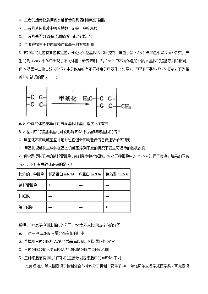 2021聊城高一下学期期末考试生物试题含答案第3页