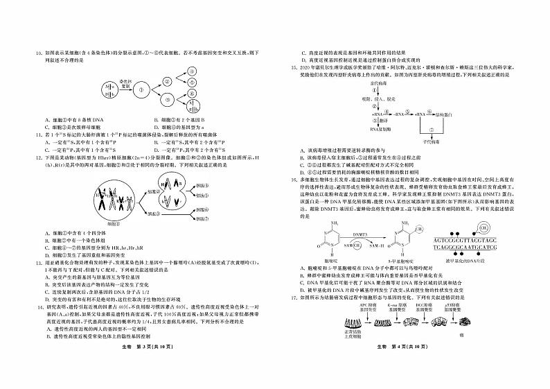 2021合肥六中高一下学期期末考试生物试题PDF版含答案第2页
