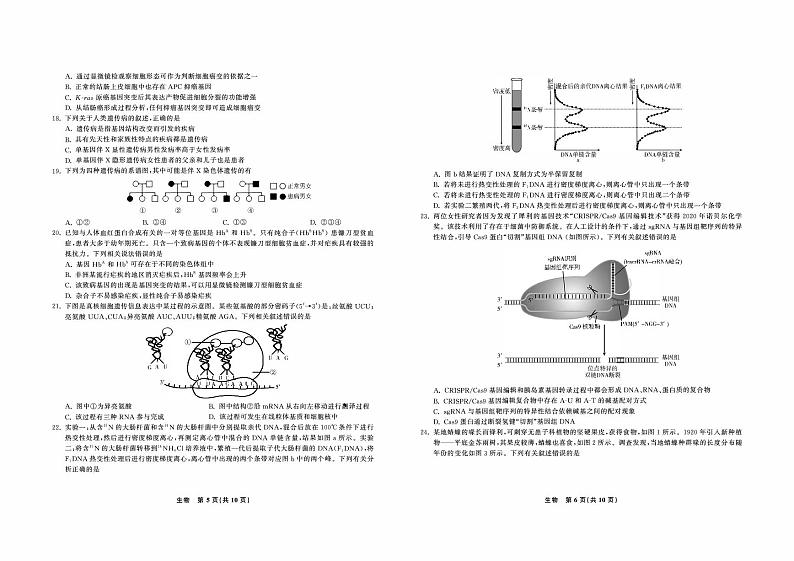 2021合肥六中高一下学期期末考试生物试题PDF版含答案第3页