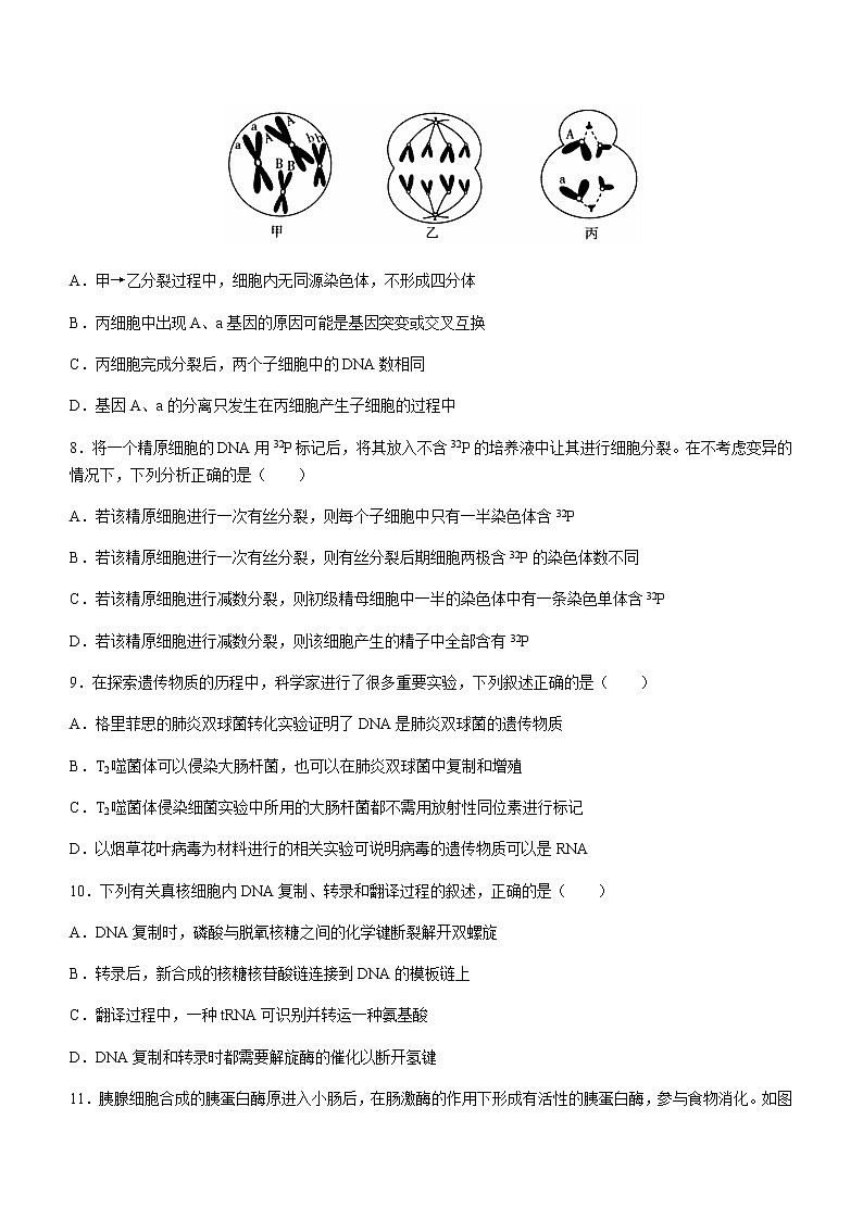 2021平顶山高一下学期期末生物试题含答案第3页