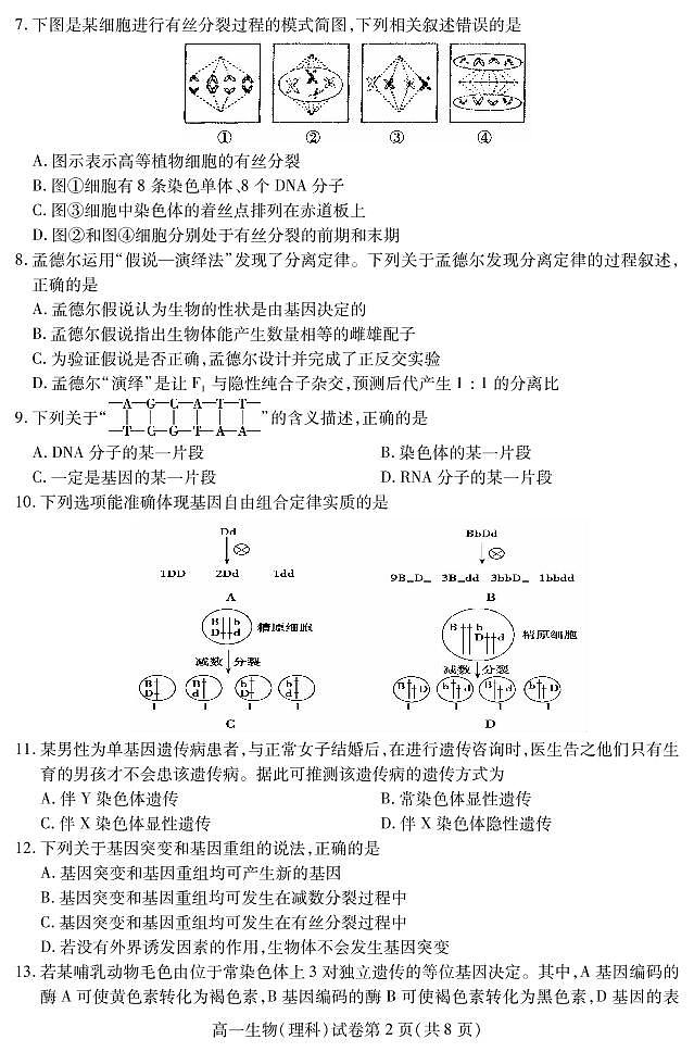 2021内江高一下学期期末检测生物（理）试题PDF版含答案第2页