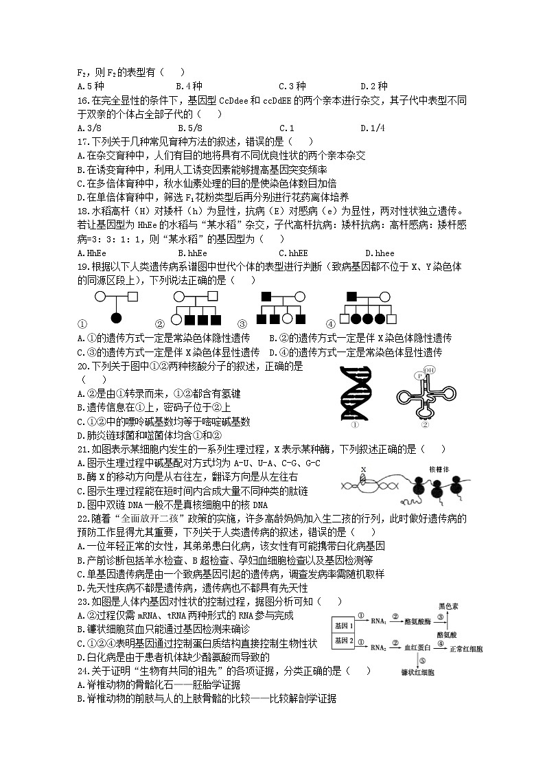 2021省齐齐哈尔高一下学期期末考试生物试题含答案03