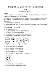 2021成都蓉城名校联盟高一下学期期末联考生物试题含答案