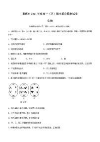 2021重庆市（康德教育）高一下学期期末联合检测生物试题含答案