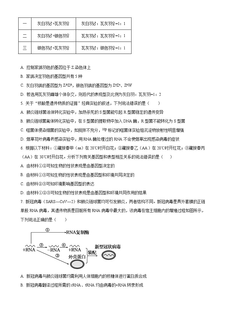 2021泰安高一下学期期末考试生物试题含答案02