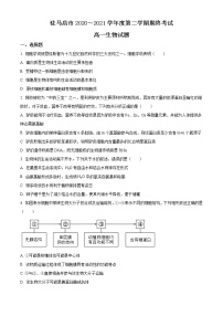 2021驻马店高一下学期期终考试生物试题含答案