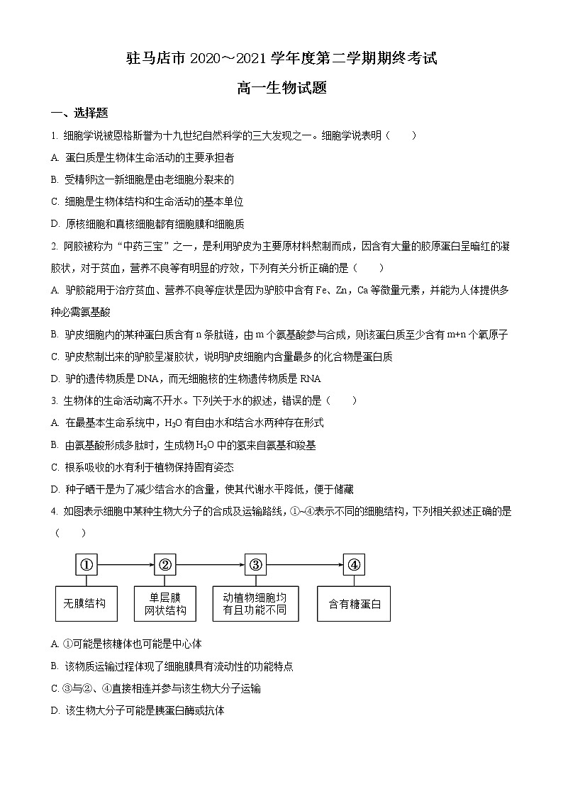2021驻马店高一下学期期终考试生物试题含答案01