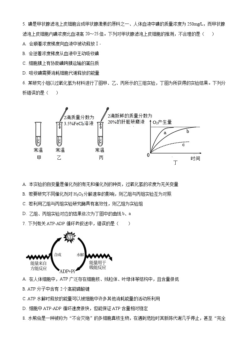 2021驻马店高一下学期期终考试生物试题含答案02