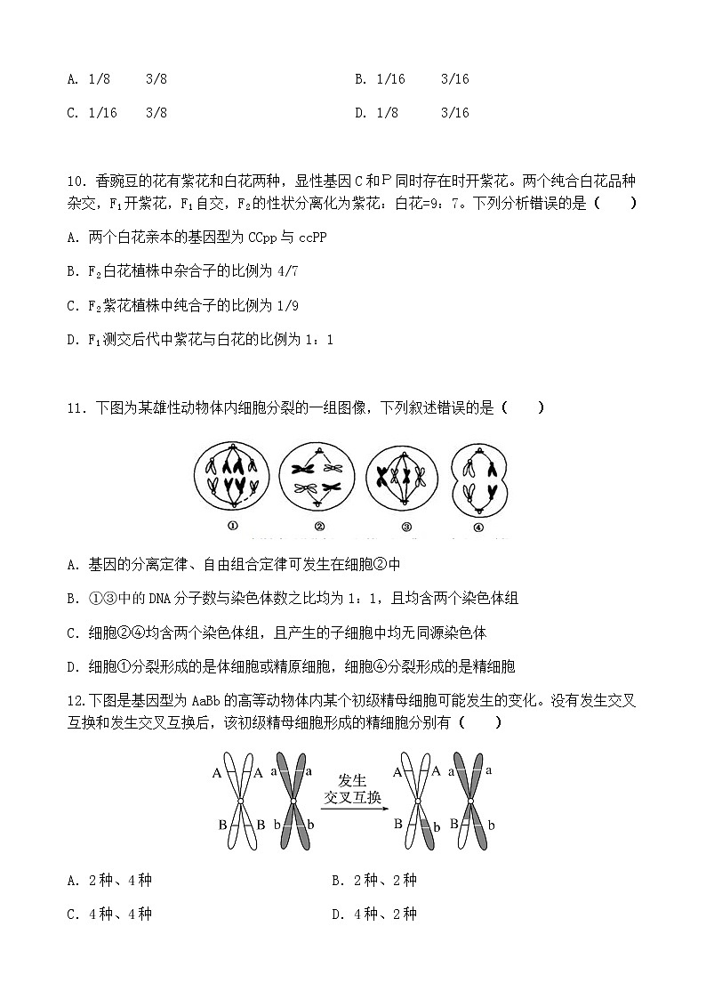 2021六安新安中学高一下学期期末考试生物试题含答案第3页