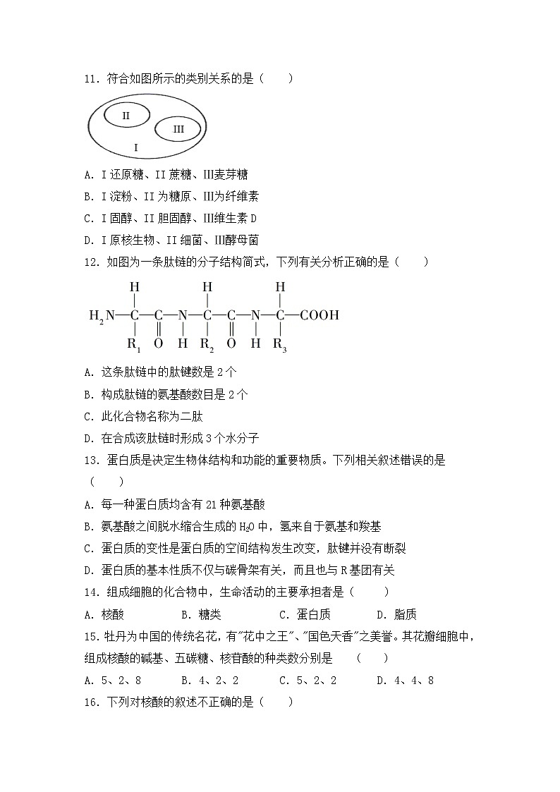 2021自治区乌兰察布集宁区高一上学期期中考试生物试题含答案03
