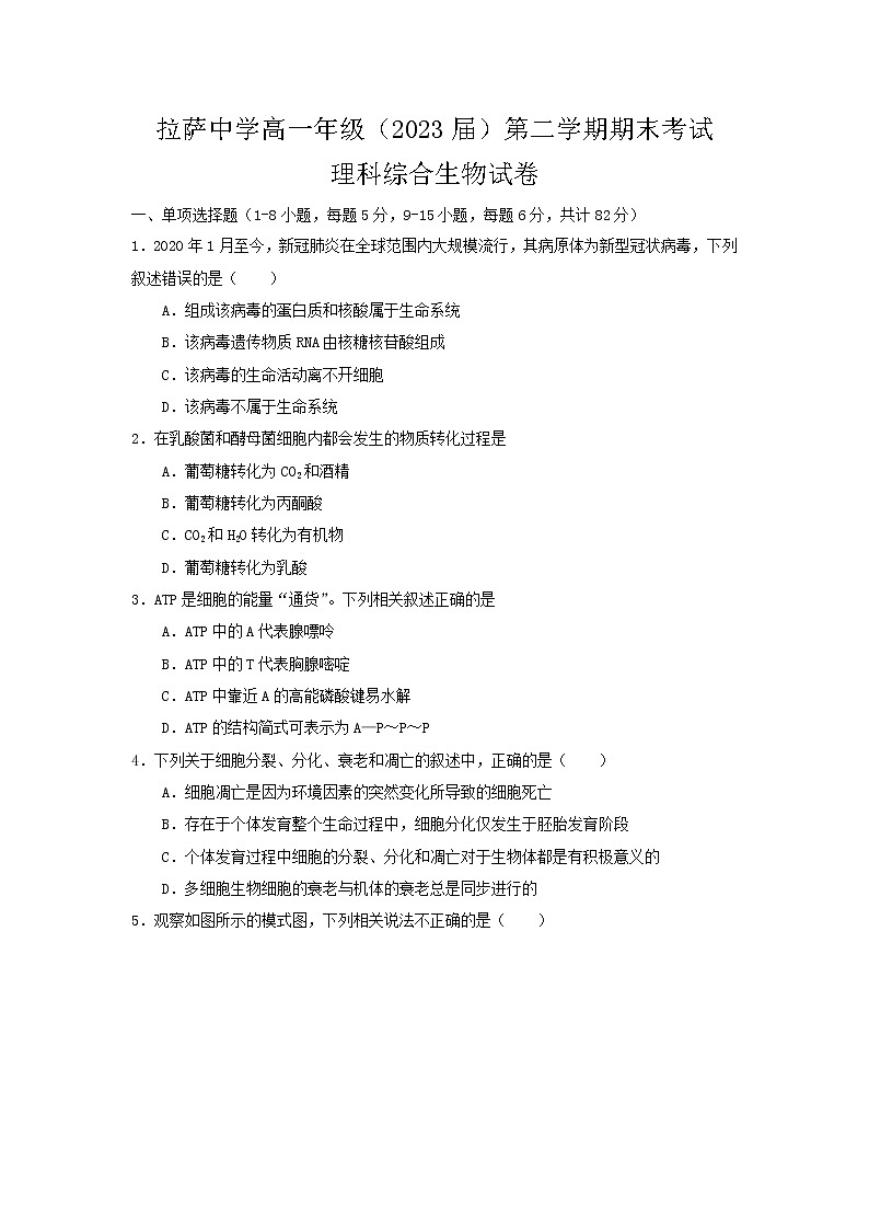 2021自治区拉萨中学高一下学期期末考试理综生物试题含答案01