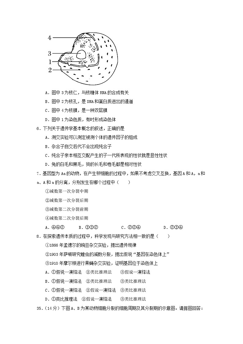 2021自治区拉萨中学高一下学期期末考试理综生物试题含答案02