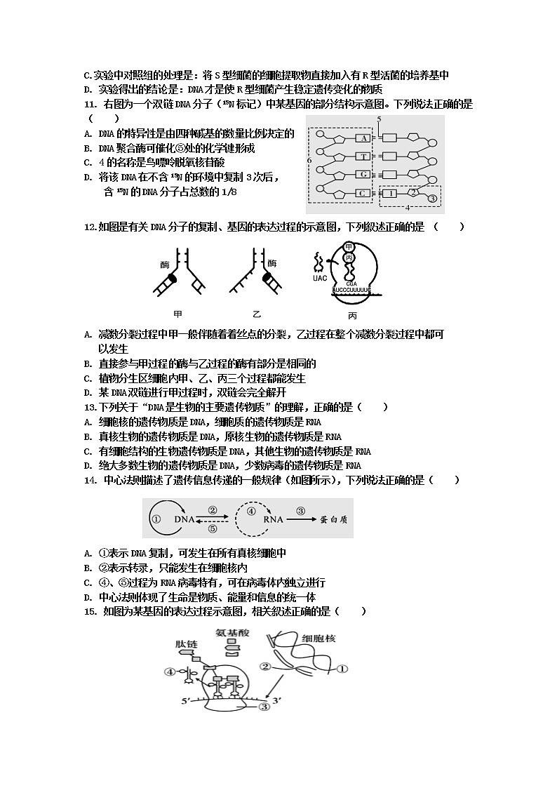 2021长春十一高中高一下学期第三学程考试生物试题含答案第3页