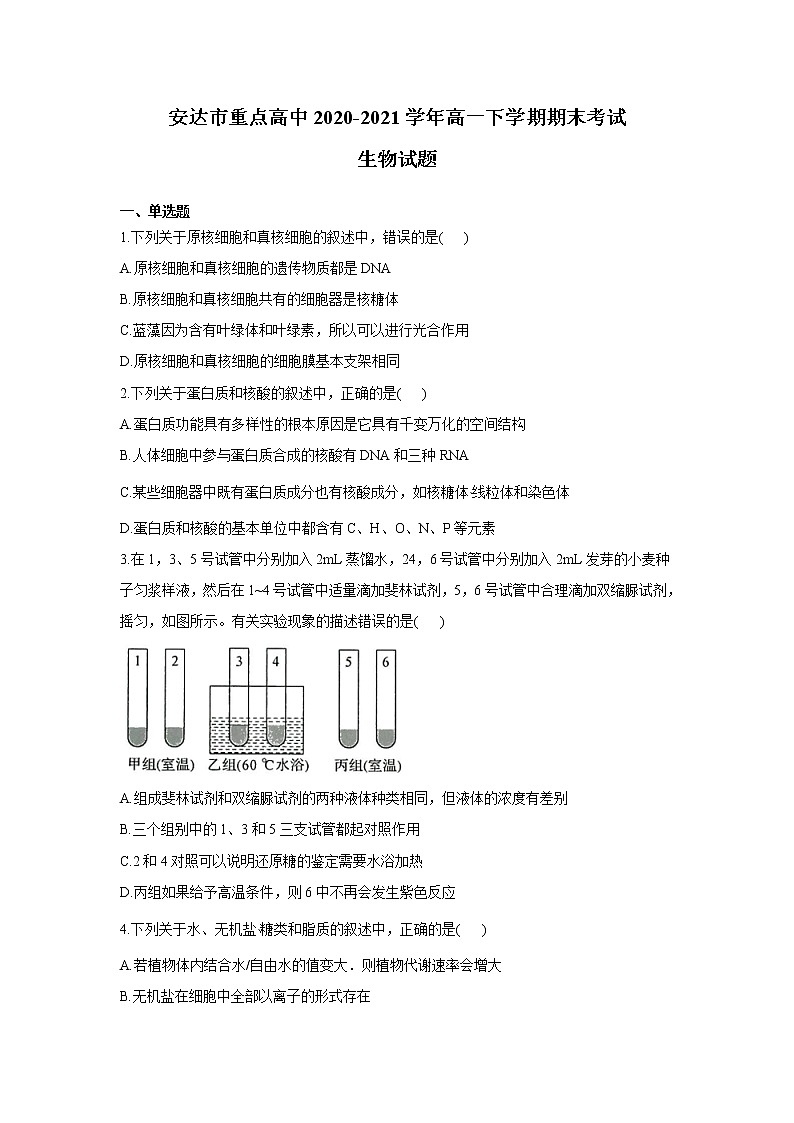2021省安达重点高中高一下学期期末考试生物试题含答案第1页