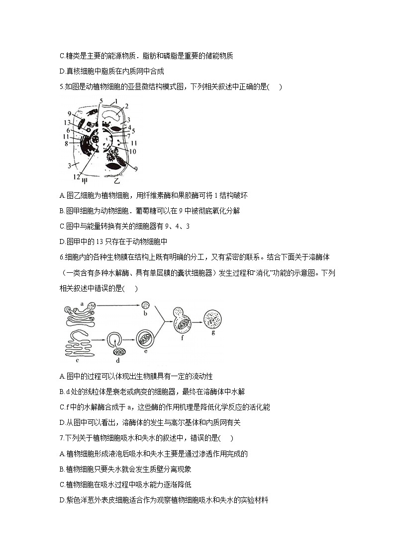 2021省安达重点高中高一下学期期末考试生物试题含答案第2页