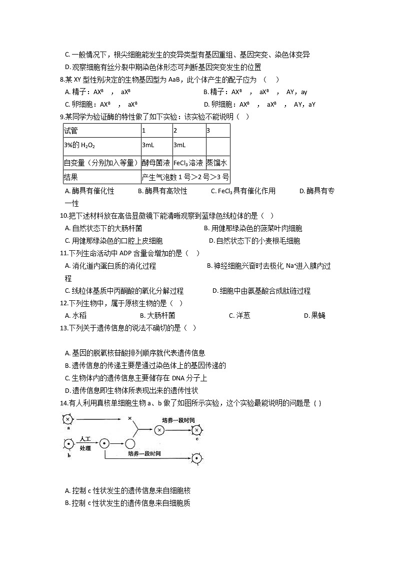 2021云南省弥勒市二中高一下学期期末考试生物试题含答案第2页